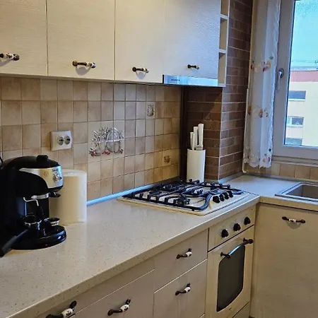 Apartment Albertview Brasov